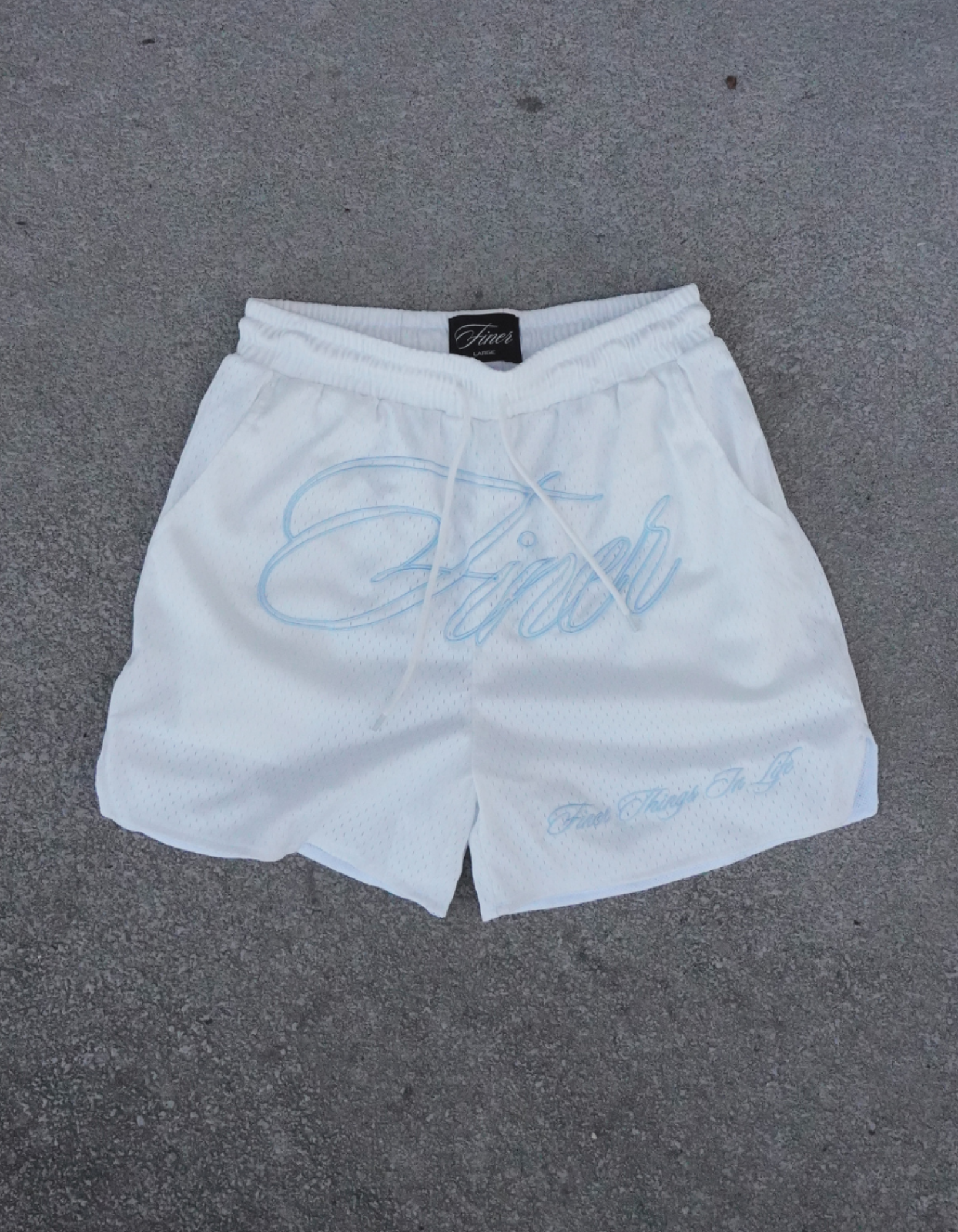 Appreciation Mesh Shorts